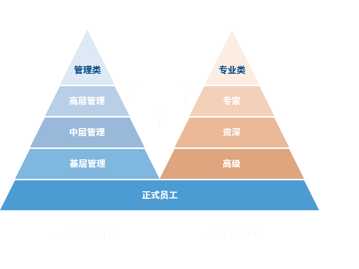 竞技宝 